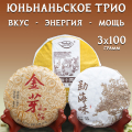 Набор Шу Пуэров &amp;quot;Юньнаньское Трио&amp;quot; - 3 по 100 гр.