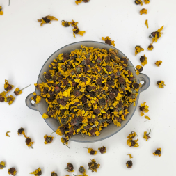 Кунь Лунь Снежная Хризантема