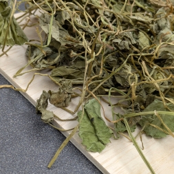 Травяной &amp;quot;Готу Кола&amp;quot; - Таиланд