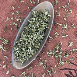 Гань Лу Мэн Дин