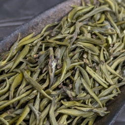 Цюэ Шэ Хубэй - 2025 г.