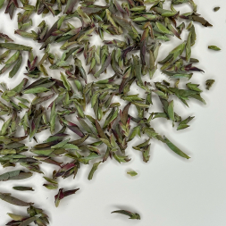 Цзы Я Бао Гу Шу