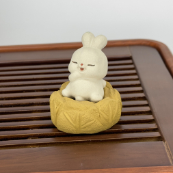 Зайчик в капустке