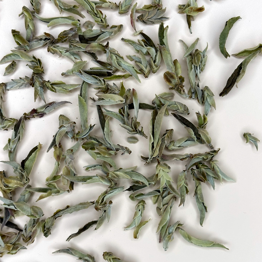 Бай Я Бао Мэнхай