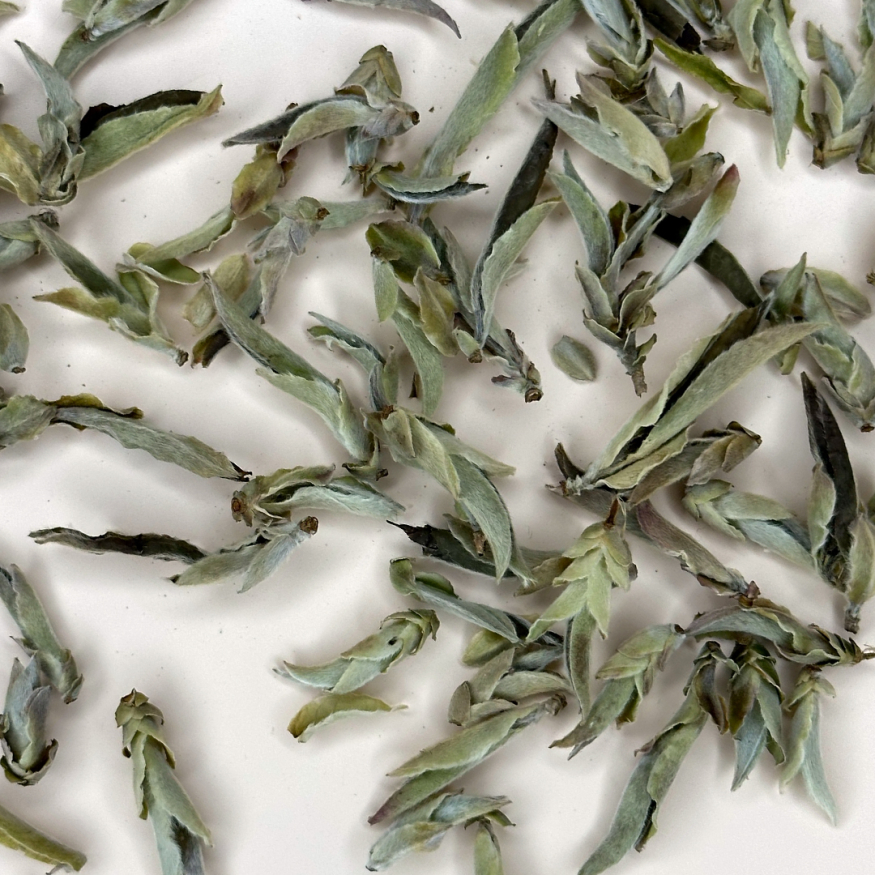 Бай Я Бао Мэнхай