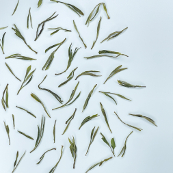 Хуо Шань Хуан Я &amp;quot;АА&amp;quot;