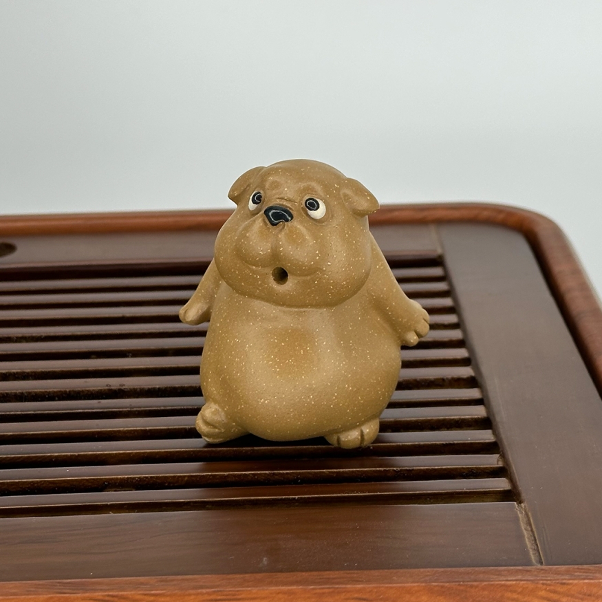 Собачка удивляющаяся