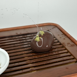 Лягушки (фонтанчик)