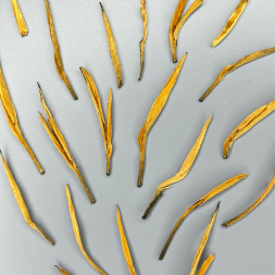 Да Цзинь Чжень Ми Сян