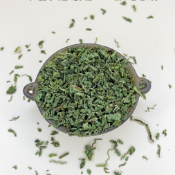 Мята скрученная