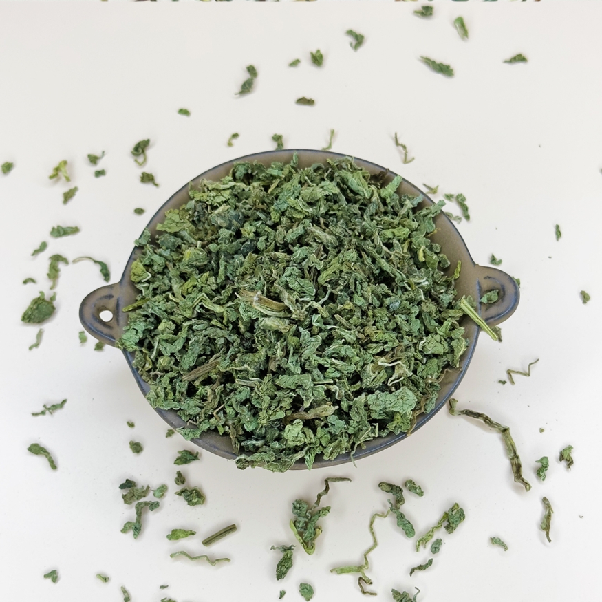 Мята скрученная