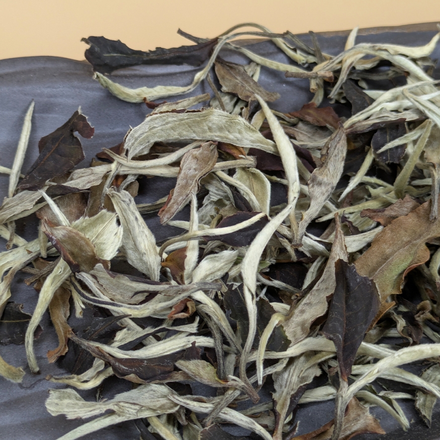 Е Шэн Гу Шу &amp;quot;Юэ Гуан Бай&amp;quot;