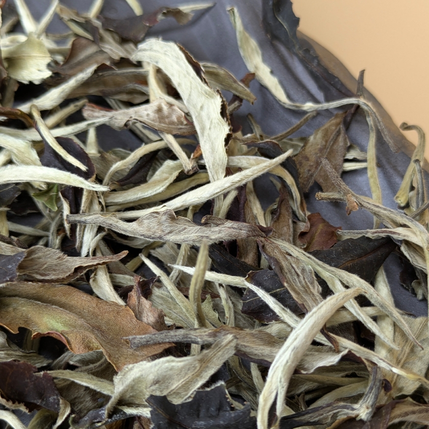 Е Шэн Гу Шу &amp;quot;Юэ Гуан Бай&amp;quot;