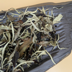 Е Шэн Гу Шу &amp;quot;Юэ Гуан Бай&amp;quot;