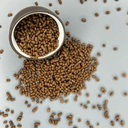 Гречишный чай Ку Цяо