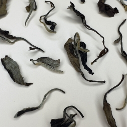 Лао Бай Му Дань - 2013 год