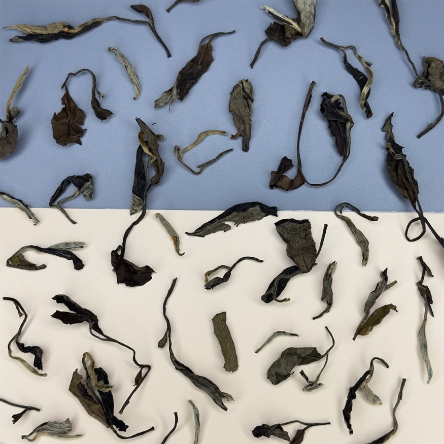 Лао Бай Му Дань - 2013 год