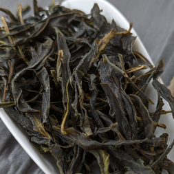 Е Шен Да Сюэ Шань Гу Шу - 100 лет