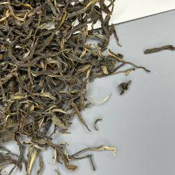 Банг Донг Мин Цянь 2019г.